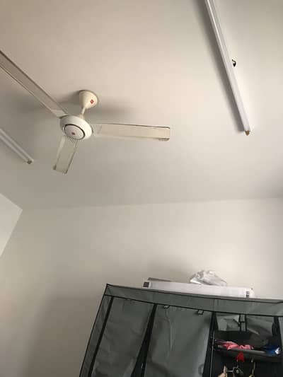 Bed space (Indian only) Near city centre മലയാളി