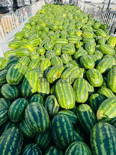 wholesale watermelon