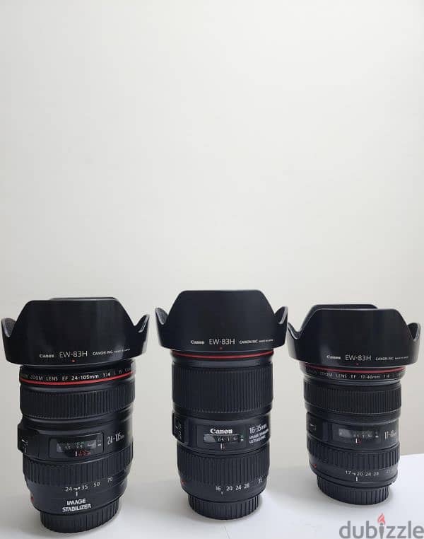 Canon Lenses Full-frame, Mirrorless, Ultrasonic, Crop Sensor 1