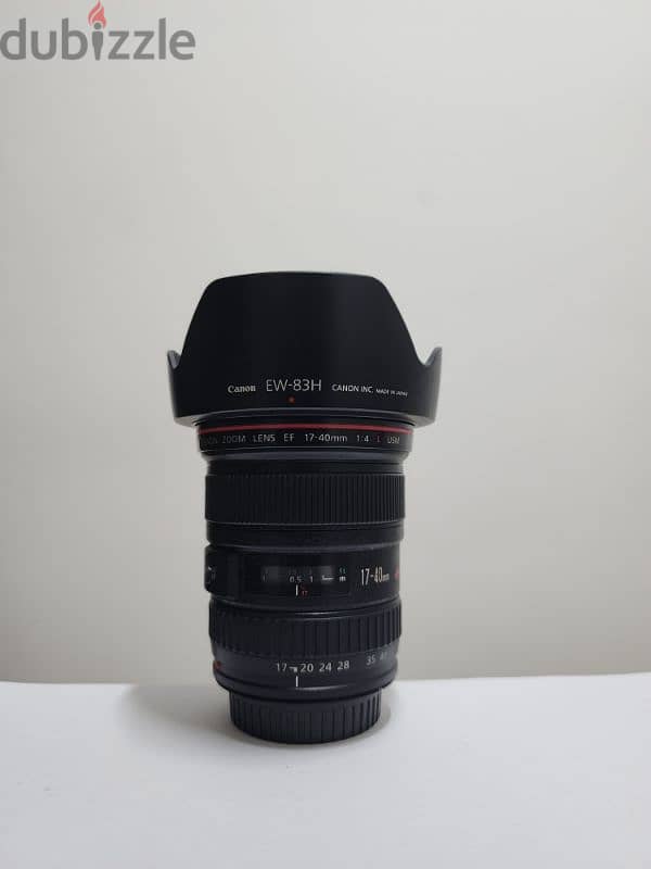 Canon Lenses Full-frame, Mirrorless, Ultrasonic, Crop Sensor 4