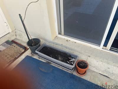 plant pot for sale