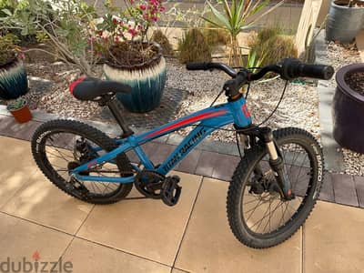 20’’ kids bike Titanium Racers