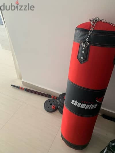 Punching bag and dumbbells