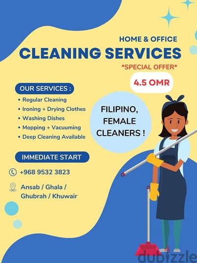 Home and Office Cleaning