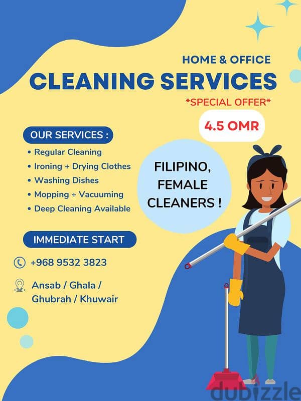 Home and Office Cleaning 0