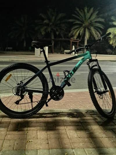 NEW BYCICLE. LULU DARSAIT