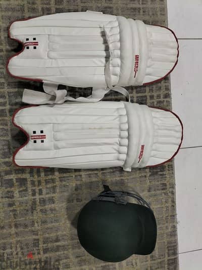 cricket pad and helmet