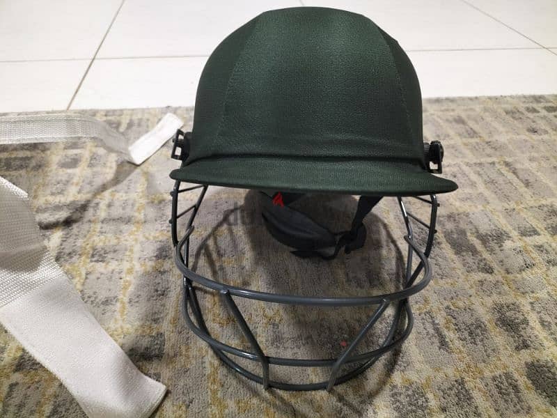 cricket pad and helmet 2