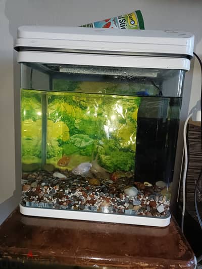 Fish tank for sale