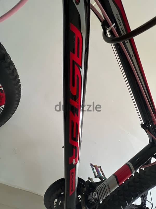 TSZ760 SUPERSPORTS ASTER MOUNTAIN BIKE 10