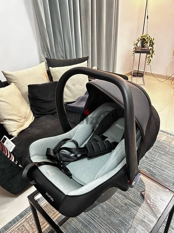 baby car seat 3