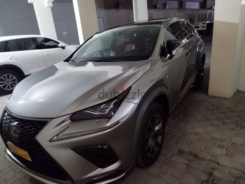 Lexus NX 300 2018 0