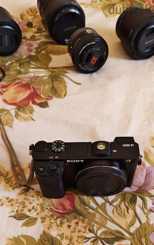 Sony A6000(24MP),Lenses With 18-200mm/55-210mm/50mm(fe 1.8)/16-50mm 9