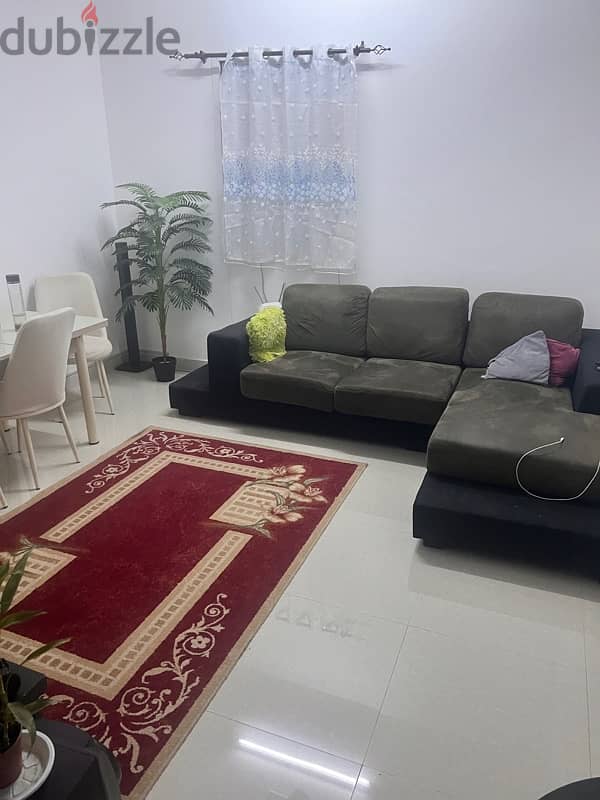 one BHK flat for rent for two months (April &May 0