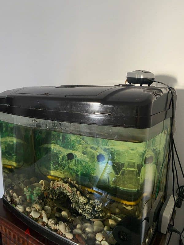 Expat leaving: Aquarium for sale 0