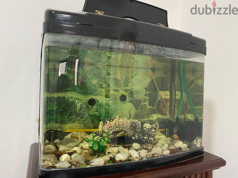 Expat leaving: Aquarium for sale 2