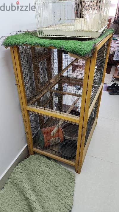 Bird Cage 2 at clearance price