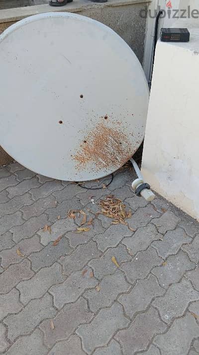 TV dish and setup box