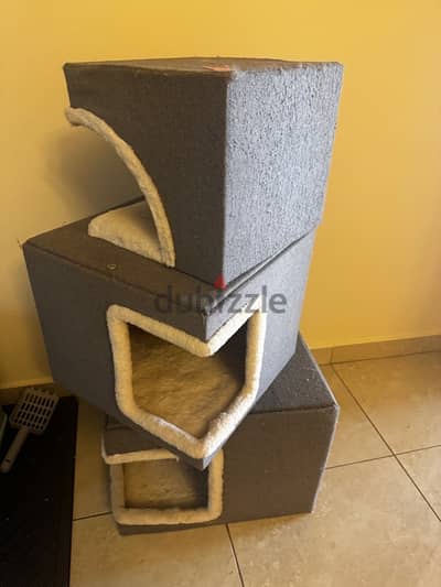 cat house for sale 3 month old 40