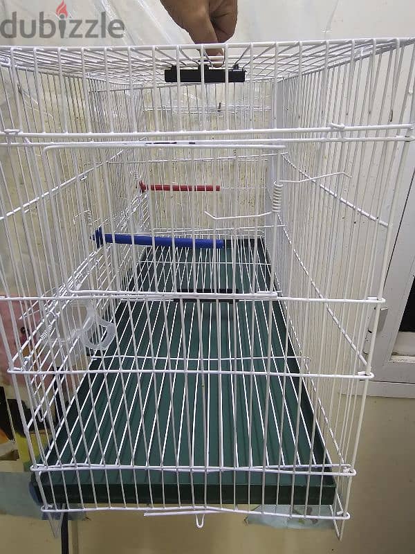 New 6 canaril cages available 2