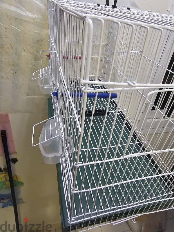 New 6 canaril cages available 3