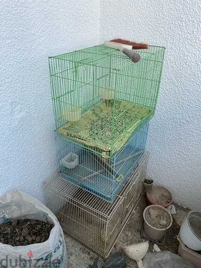 big, medium and small cage available