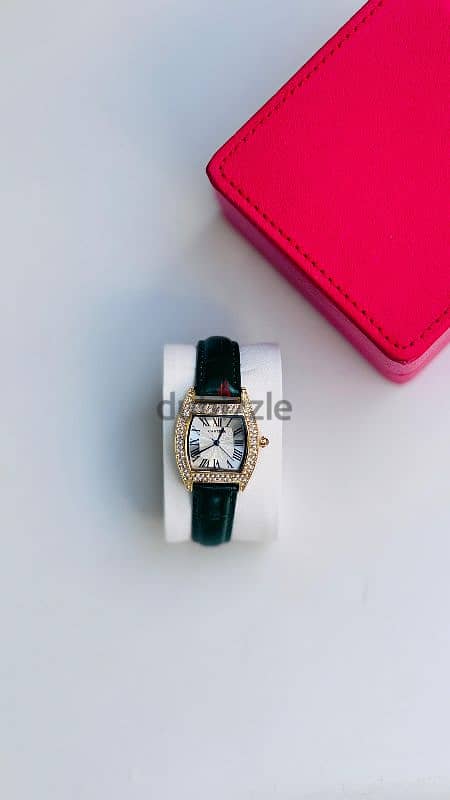 Ladies branded Watch collections 12