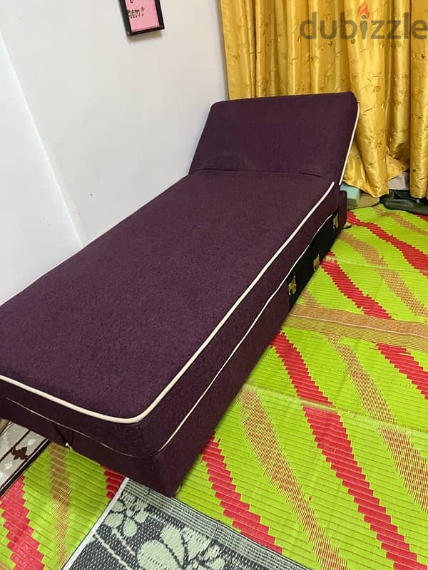 Divan bed & Sofa cum Bed excellent condition 1