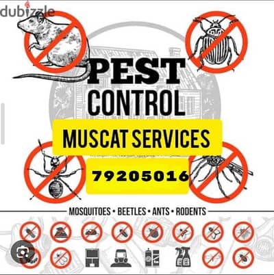 Pest Control Service for Insects Bedbugs Aunts Spider