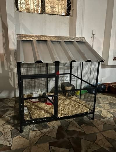 Chicken cage for sale