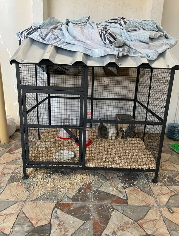 Chicken cage for sale 1