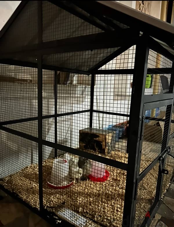 Chicken cage for sale 2