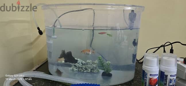 fish tank with 7 fishes and many accessories