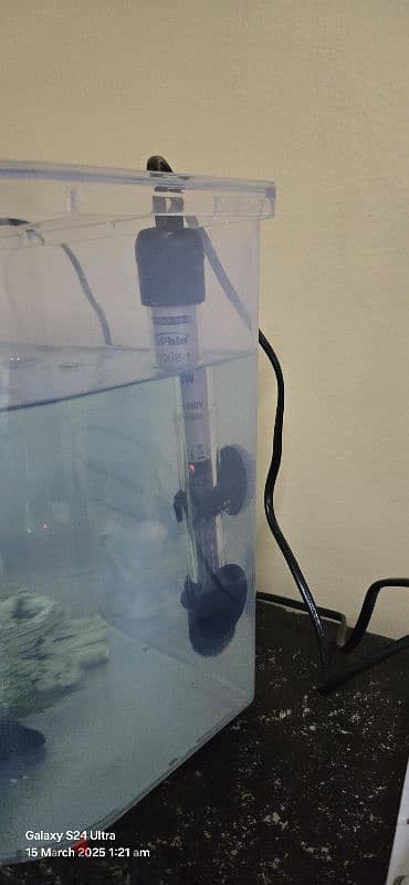 fish tank with 7 fishes and many accessories 3