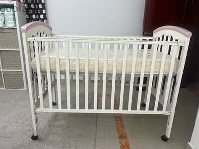 cradle juniors for sale