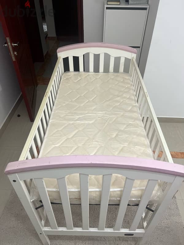 cradle juniors for sale 1