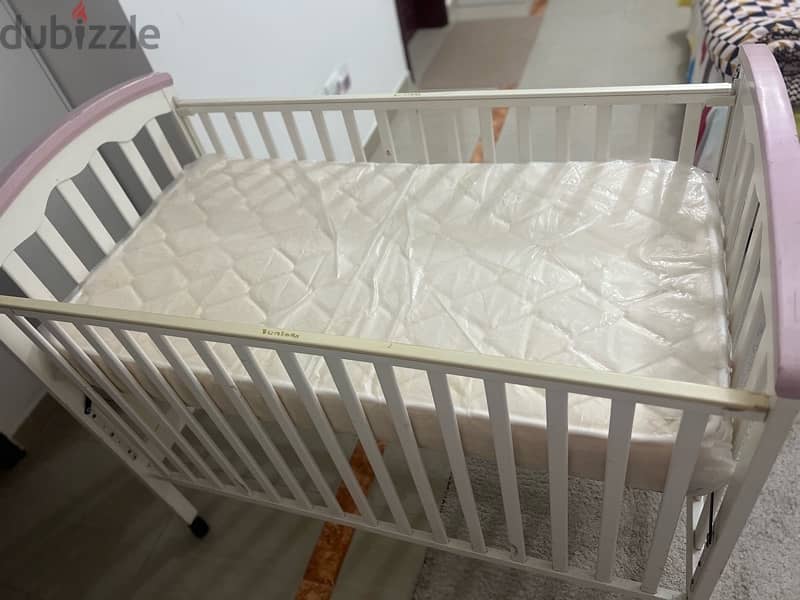 cradle juniors for sale 2