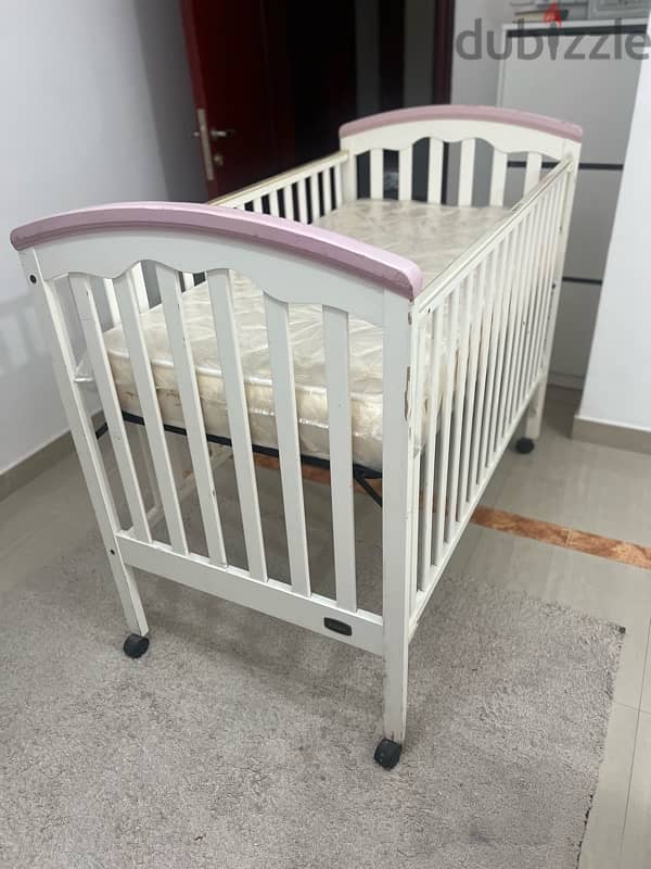 cradle juniors for sale 3