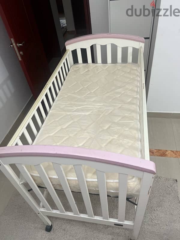 cradle juniors for sale 4