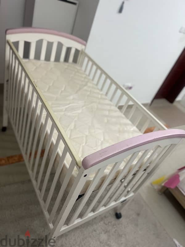 cradle juniors for sale 6