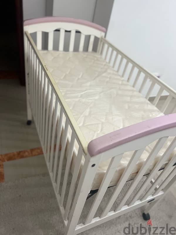 cradle juniors for sale 7