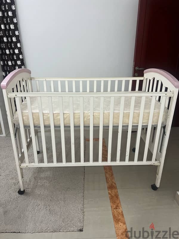 cradle juniors for sale 8