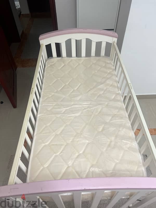 cradle juniors for sale 9