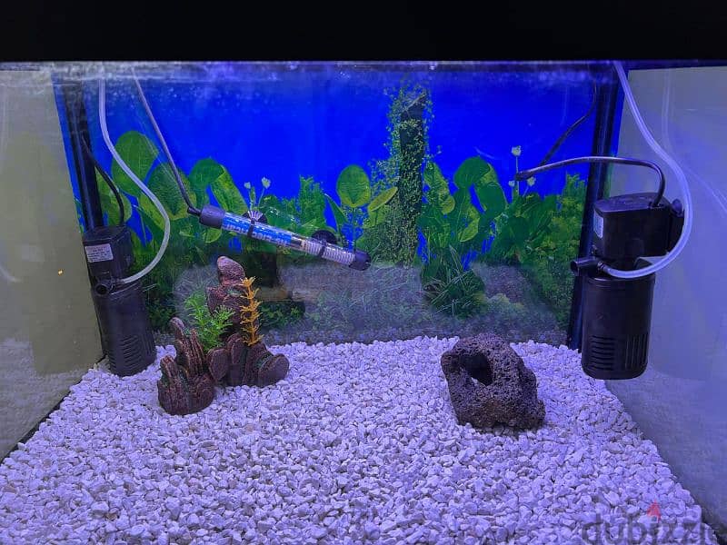 Fish Tank Aquarium  120 Litres 2