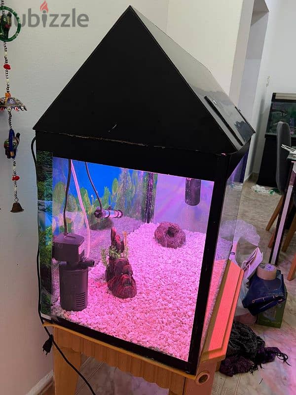 Fish Tank Aquarium  120 Litres 3