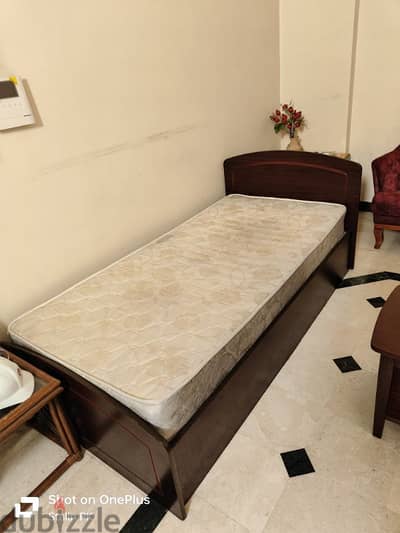 single coat with orthopedic mattress