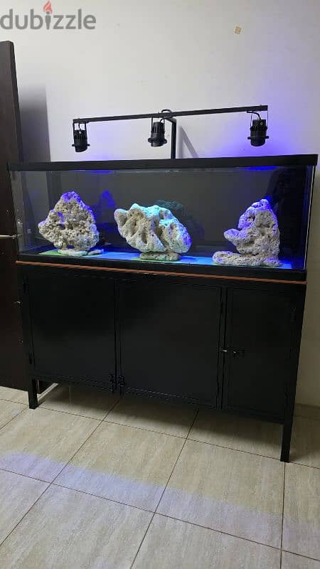 1.5mtr fishtank for sale 3