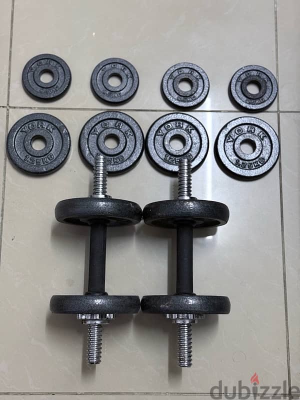 Good condition dumbbells for sale 1