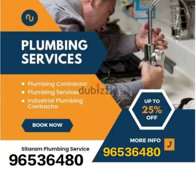 plumber and electrician available for house maintenance work