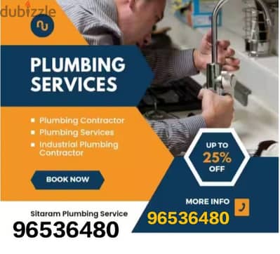 plumber and electrician available for house maintenance work